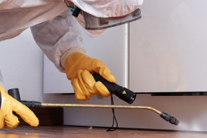 Messie Schädlingsbekämpfung Gronau (westfalen)